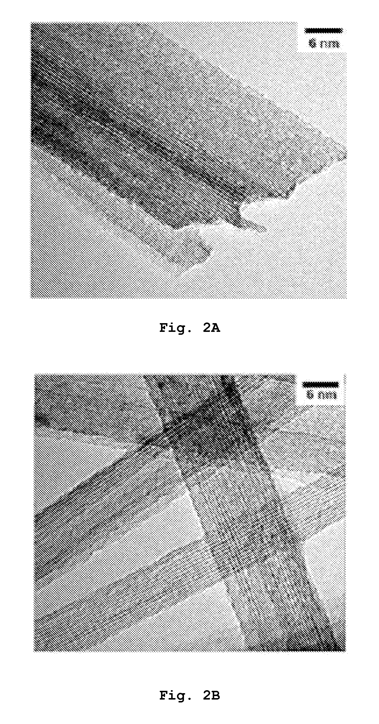 Titanate Nanostructure and Method for Preparation Thereof