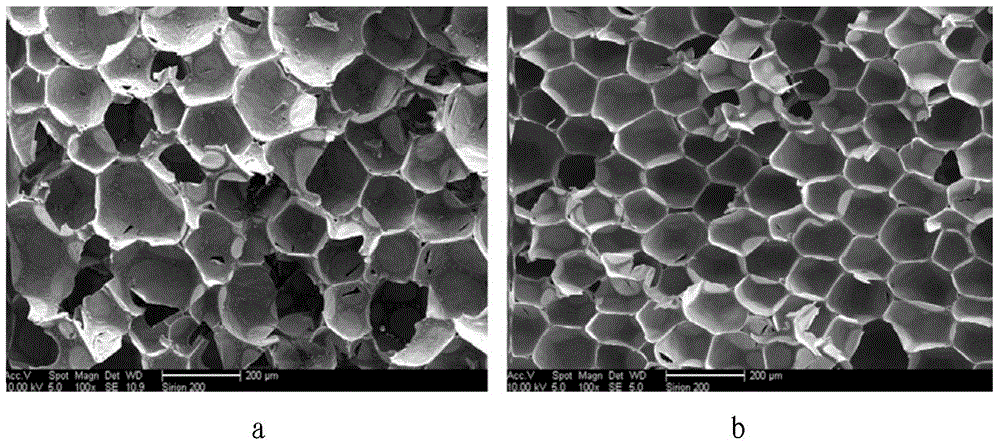 Nano carbon dioxide-phenolic resin composite foam material and preparation method thereof