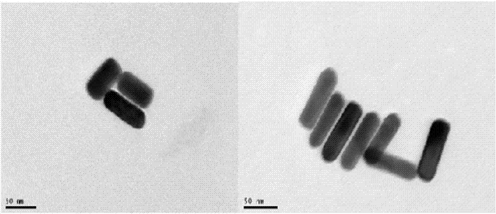 Preparation method of gold nanorods with different length-diameter ratios