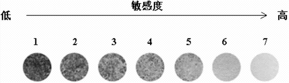 Method for detecting non-specific esterase activity of aphids and detection reagent box