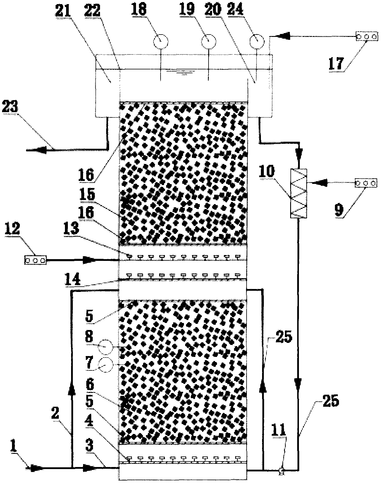Two-segment aerobic-anaerobic ammonia oxidization reactor