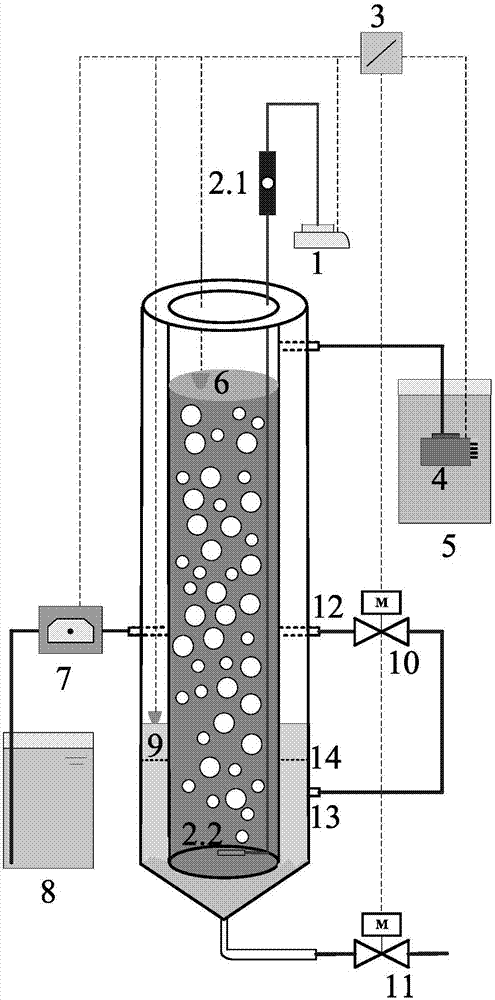 Device and method for rapid cultivation of aerobic granular sludge based on sludge-age control
