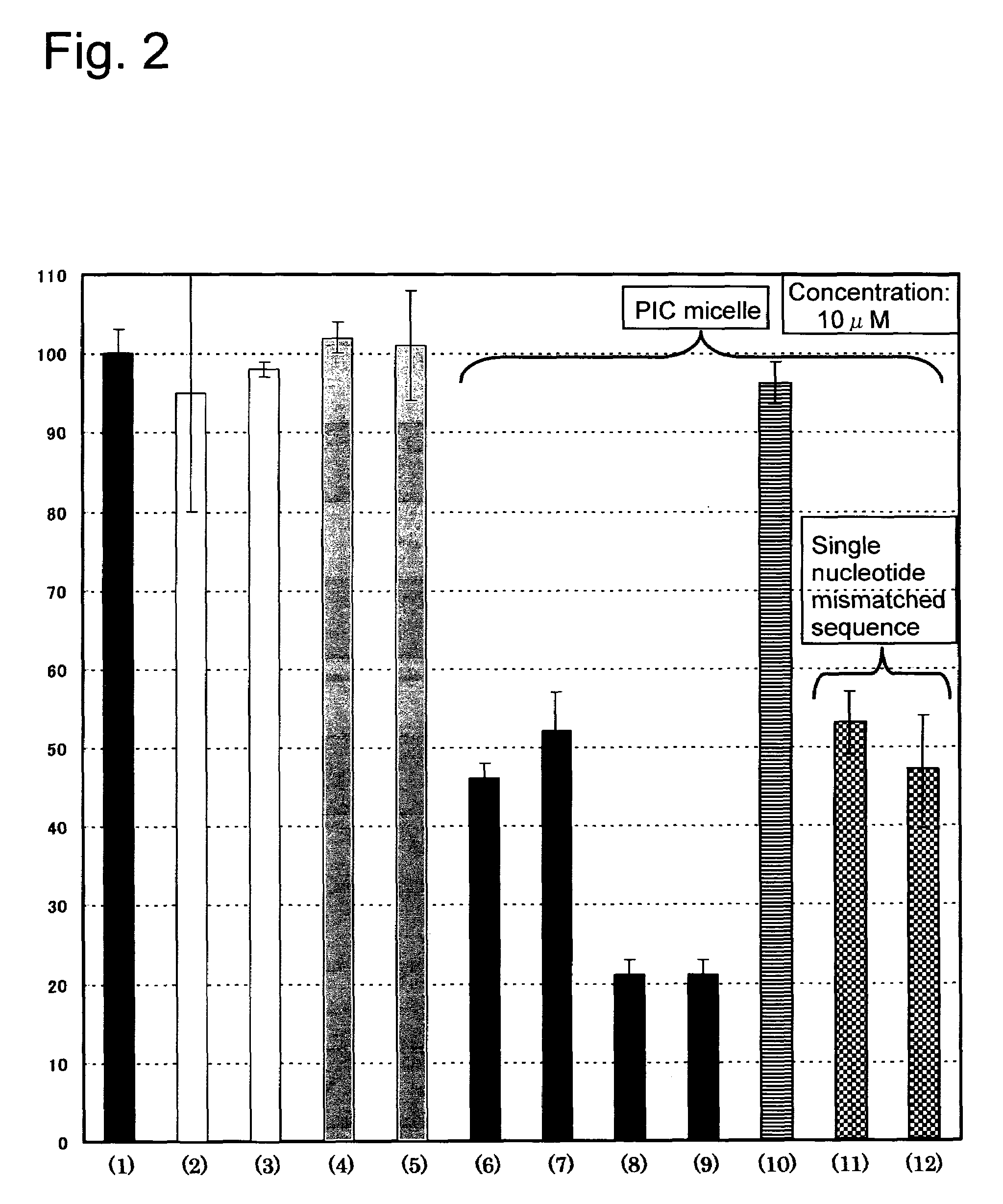 PEG-functional nucleic acid conjugate