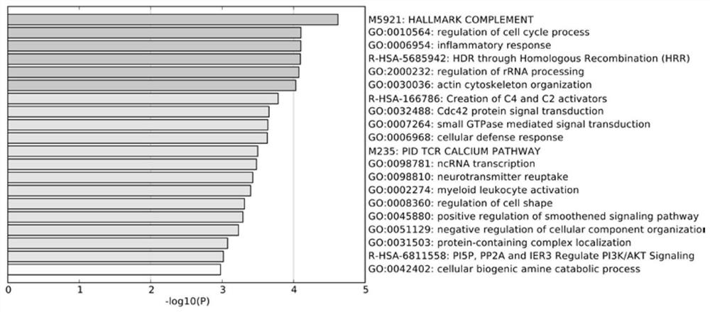 A marker gene for predicting recurrence of stage II colorectal cancer and its application
