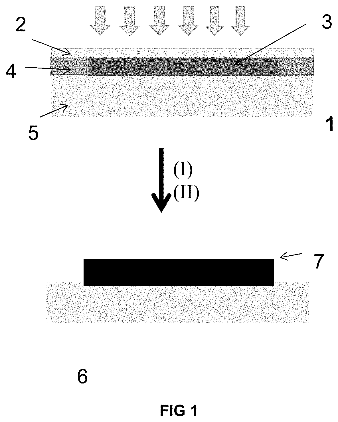 Vinyl-Lactam-Based Hydrogel Coatings