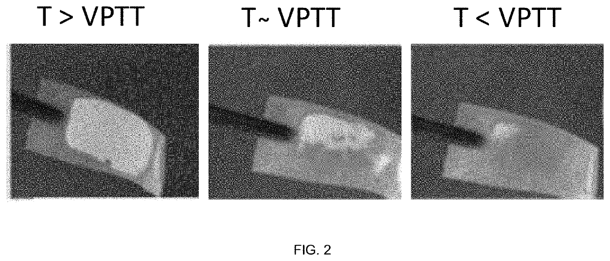 Vinyl-Lactam-Based Hydrogel Coatings