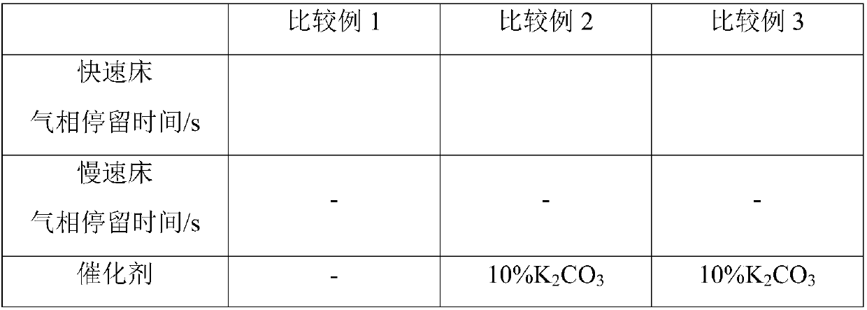 Differential circulating fluidized bed catalytic pyrolysis gasification apparatus and differential circulating fluidized bed catalytic pyrolysis gasification method