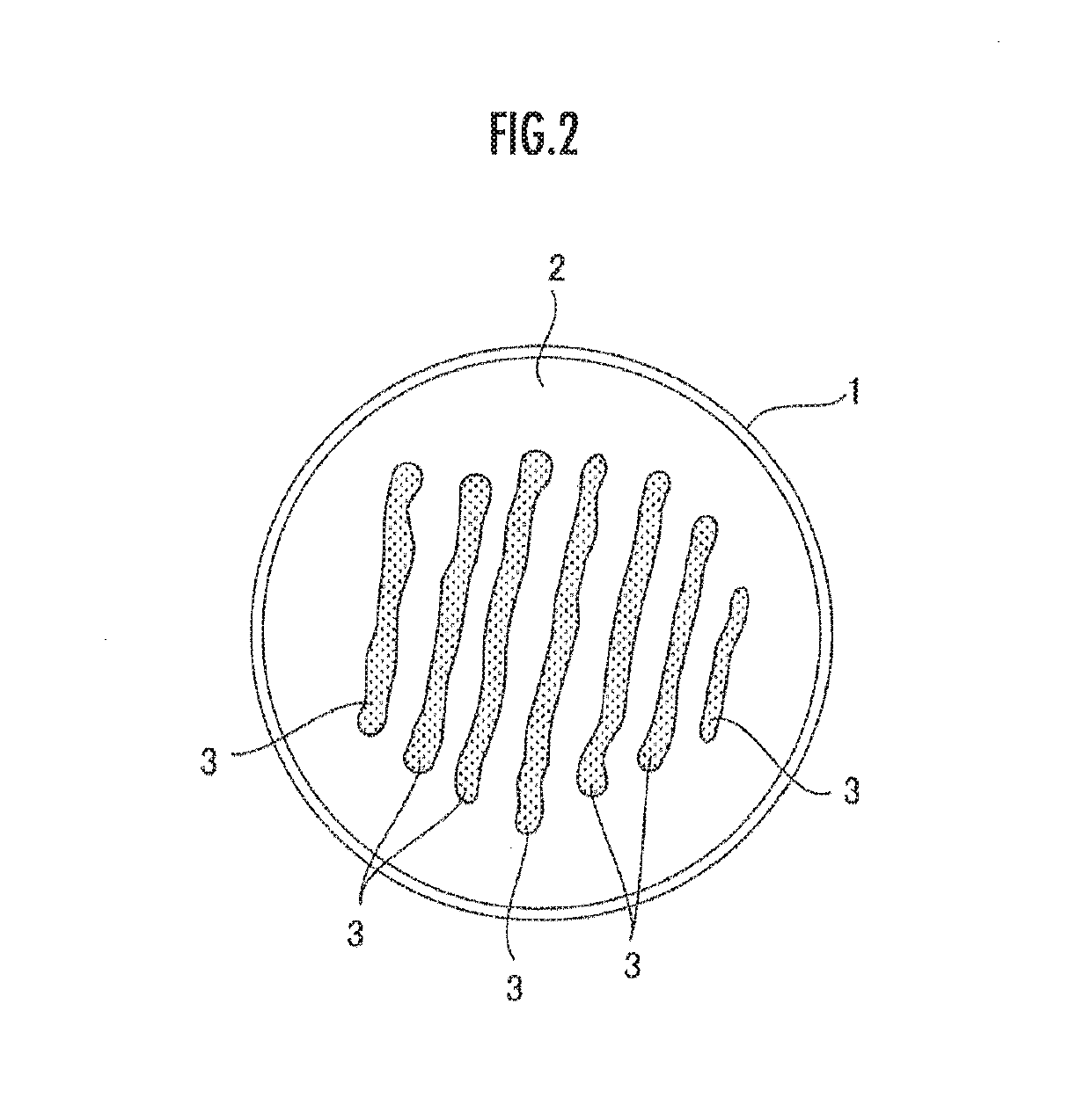 Novel microalga having aggregation ability