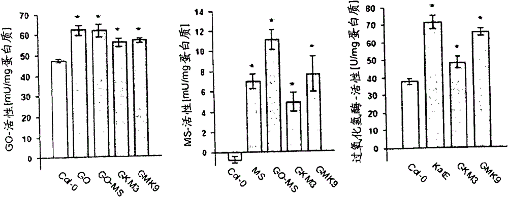 Means for improving agrobiological traits in a plant by providing a plant cell comprising in its chloroplasts enzymatic activities for converting glycolate into malate