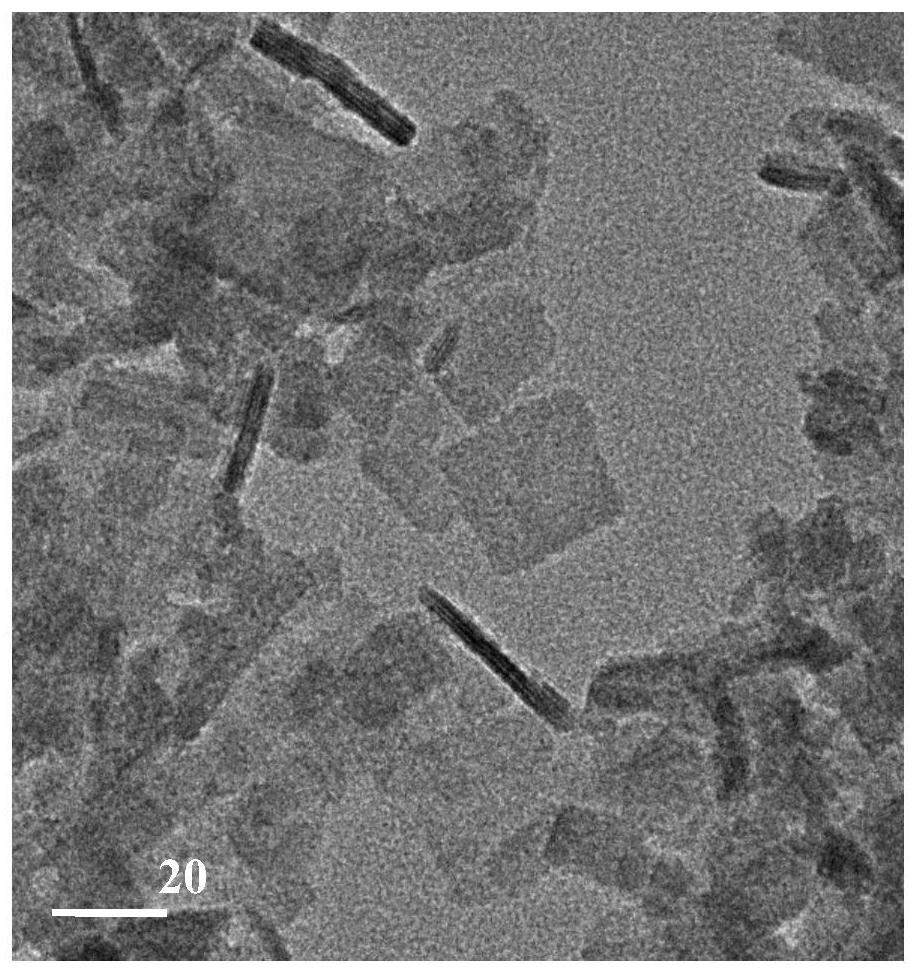 A kind of surface oxygen vacancy ultrathin bismuth oxychloride nanosheet and preparation method thereof