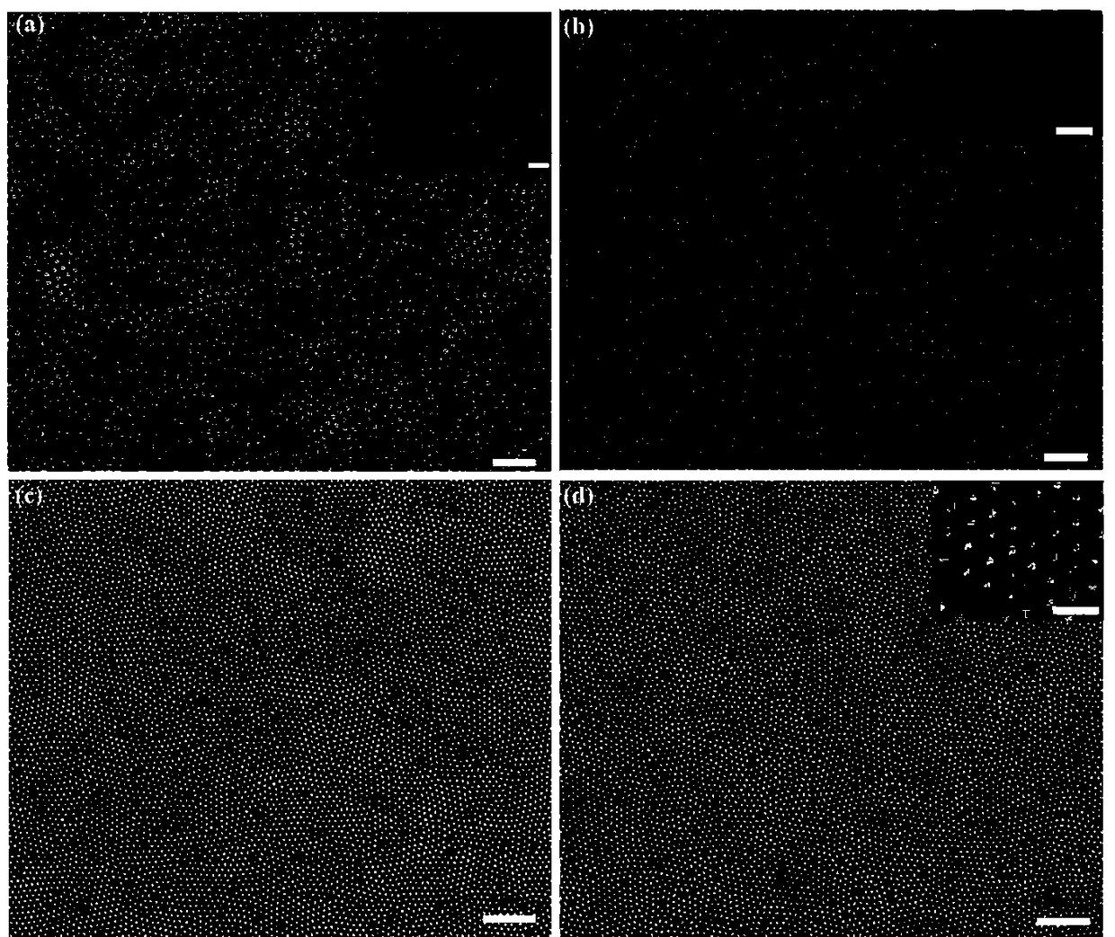 Flexible nanometer column array with top end coated with precious metal and preparation method and application thereof