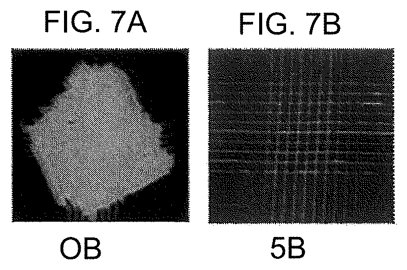 Waveguide Edge Light Shielding Composition Having Excellent Adhesive Strength