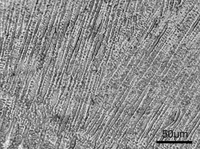 Fe-Cr-Mn welding wire as well as preparation method and welding process thereof