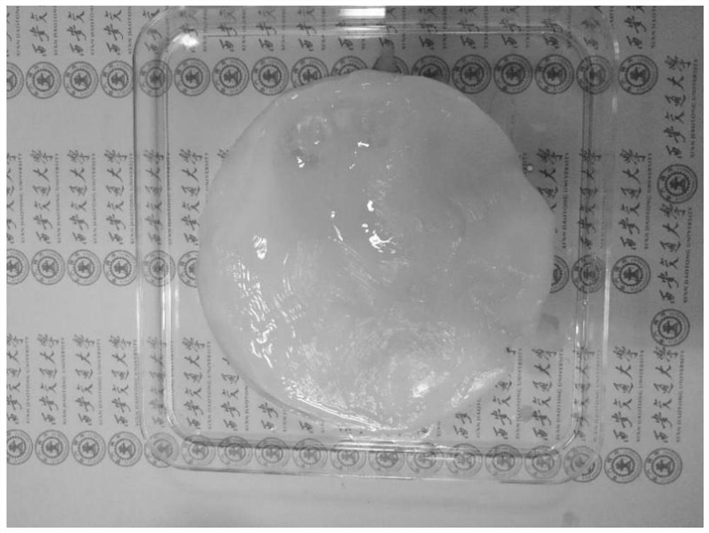Preparation method of photo-cured 3D printing bio-compatible silk fibroin hydrogel