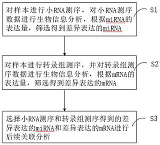miRNA data and transcriptome data penetration analysis method and system
