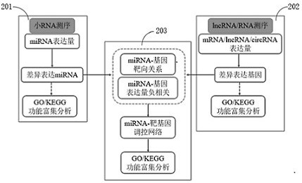 miRNA data and transcriptome data penetration analysis method and system