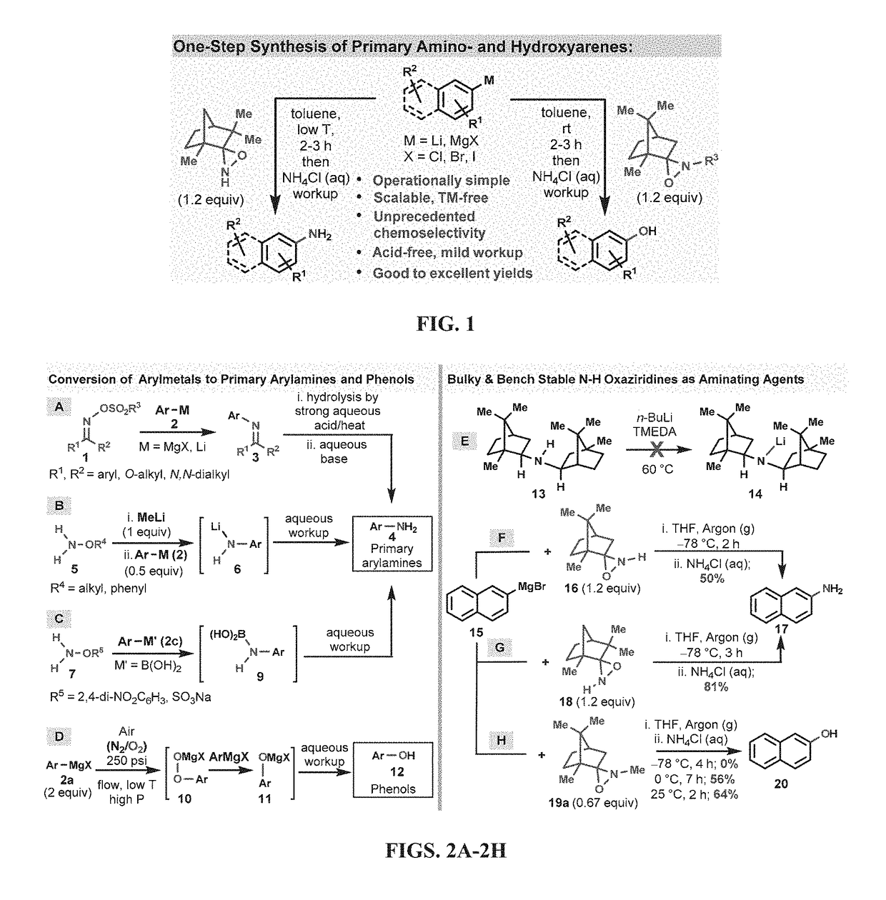 Amination and hydroxylation of arylmetal compounds