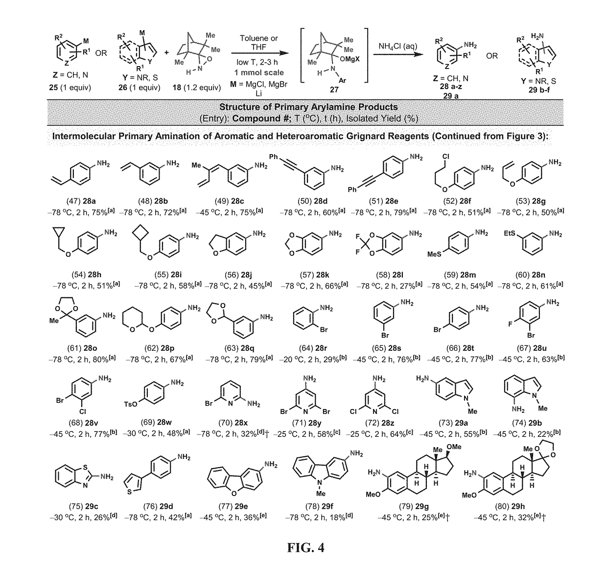 Amination and hydroxylation of arylmetal compounds