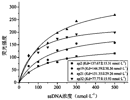 ssDNA aptamer for specifically identifying metronidazole and application thereof