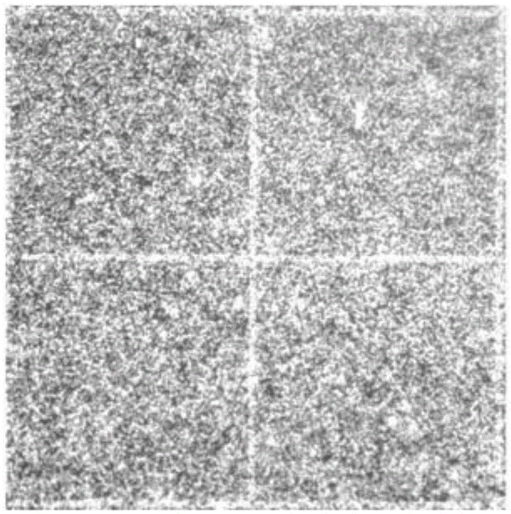 Fluorescent microsphere supported optical material and preparation method thereof