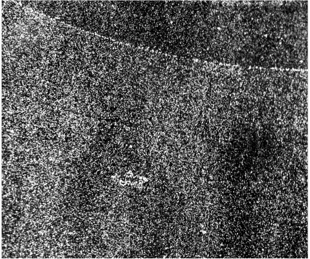 Fluorescent microsphere supported optical material and preparation method thereof