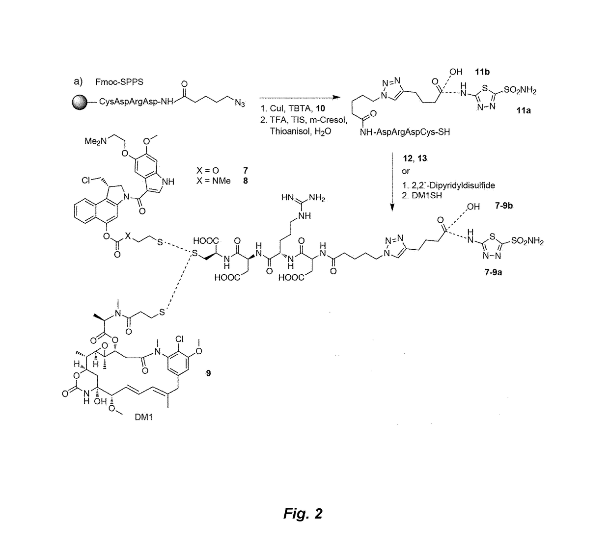 Small molecule drug conjugates