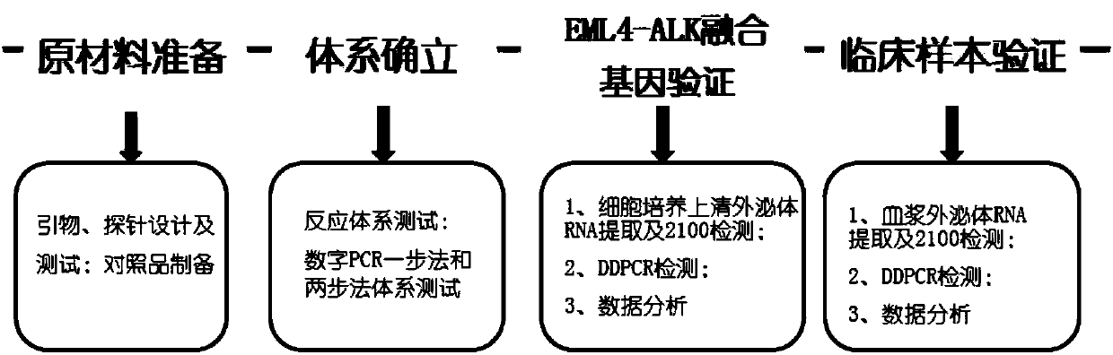 EML4-ALK fusion-gene non-invasive detection kit
