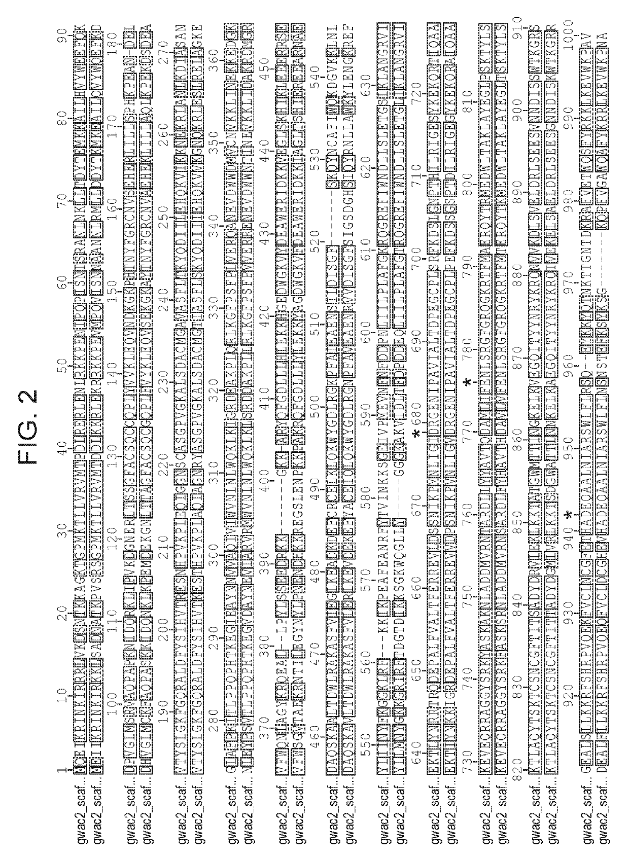 Rna-guided nucleic acid modifying enzymes and methods of use thereof