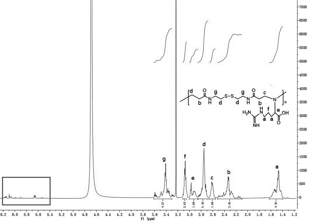 Preparation method and application of CBX3-containing L-arginine amination polyamine polymer gene vector