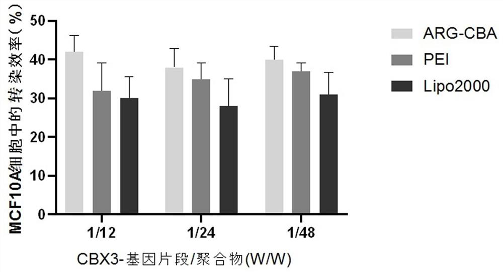 Preparation method and application of CBX3-containing L-arginine amination polyamine polymer gene vector