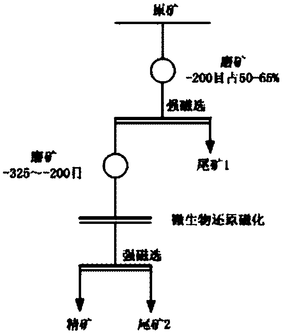 Method for raising grade of hematite by biologically reducing and magnetizing and dressing