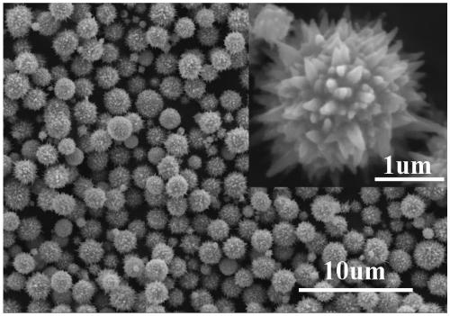 Polyvinylidene fluoride based polymer with porous structure and preparation method thereof