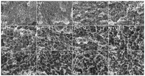 Polyvinylidene fluoride based polymer with porous structure and preparation method thereof