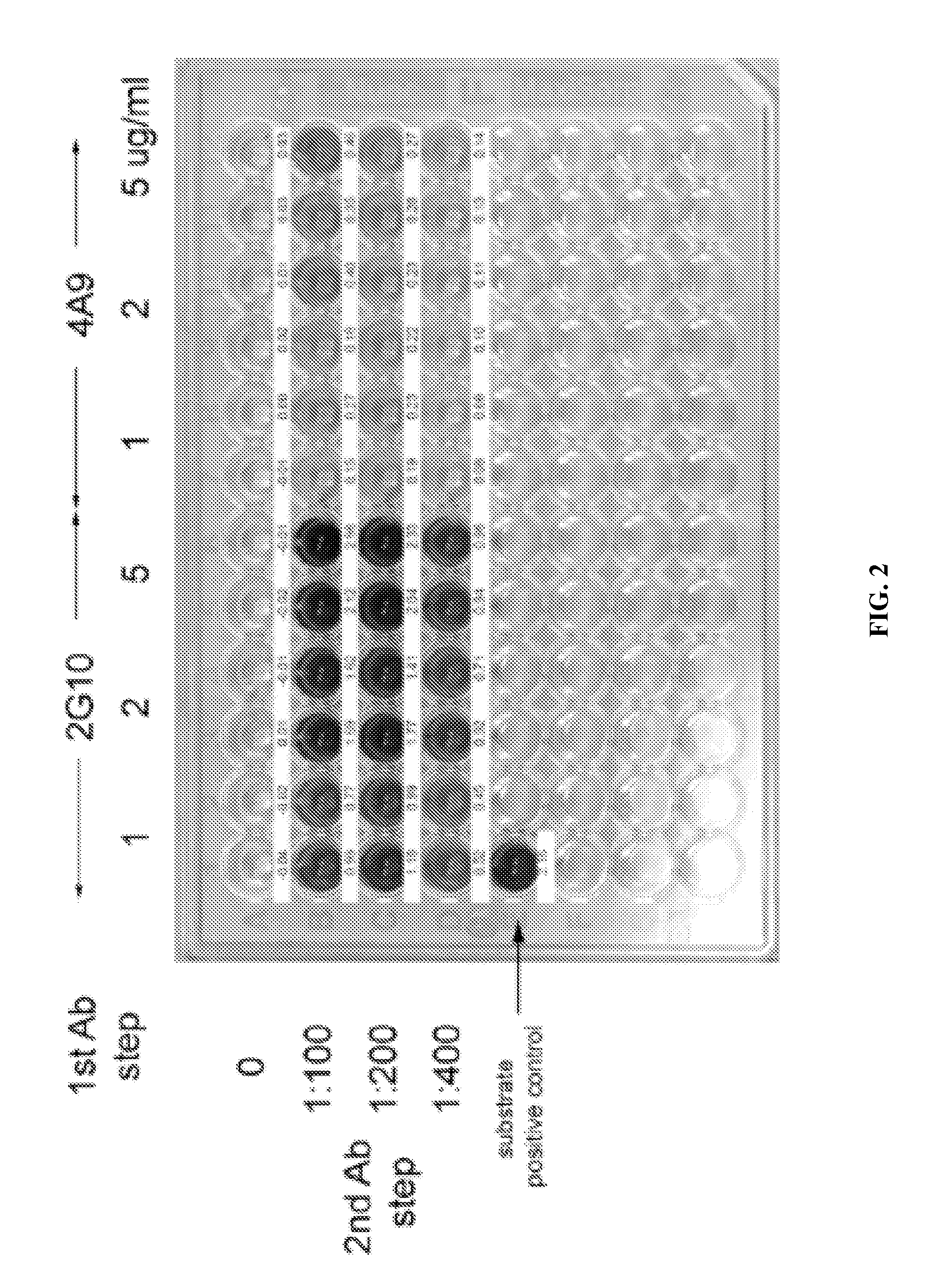 Compositions and methods for detecting cancers in a subject