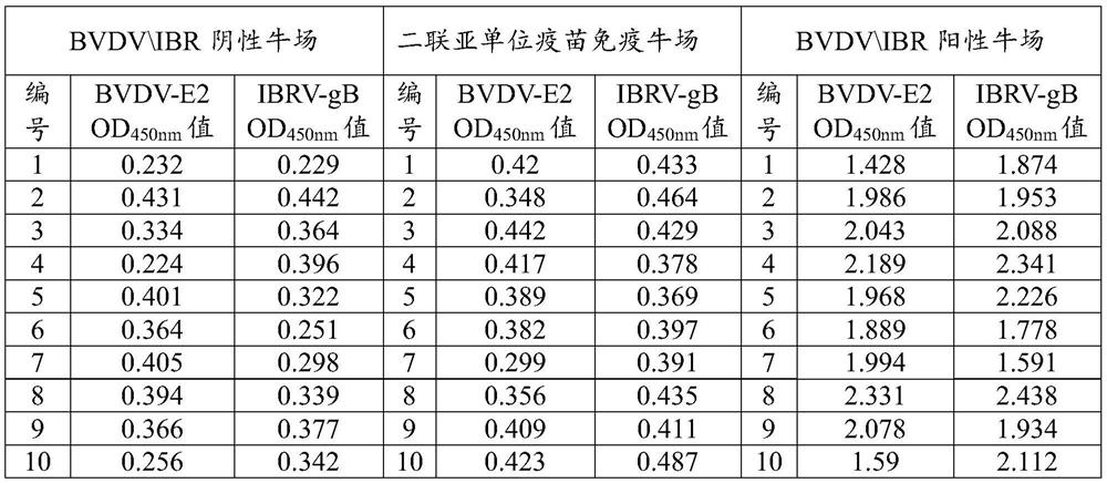 Bovine viral diarrhea-infectious bovine rhinotracheitis bivalent subunit fusion vaccine and identification method thereof