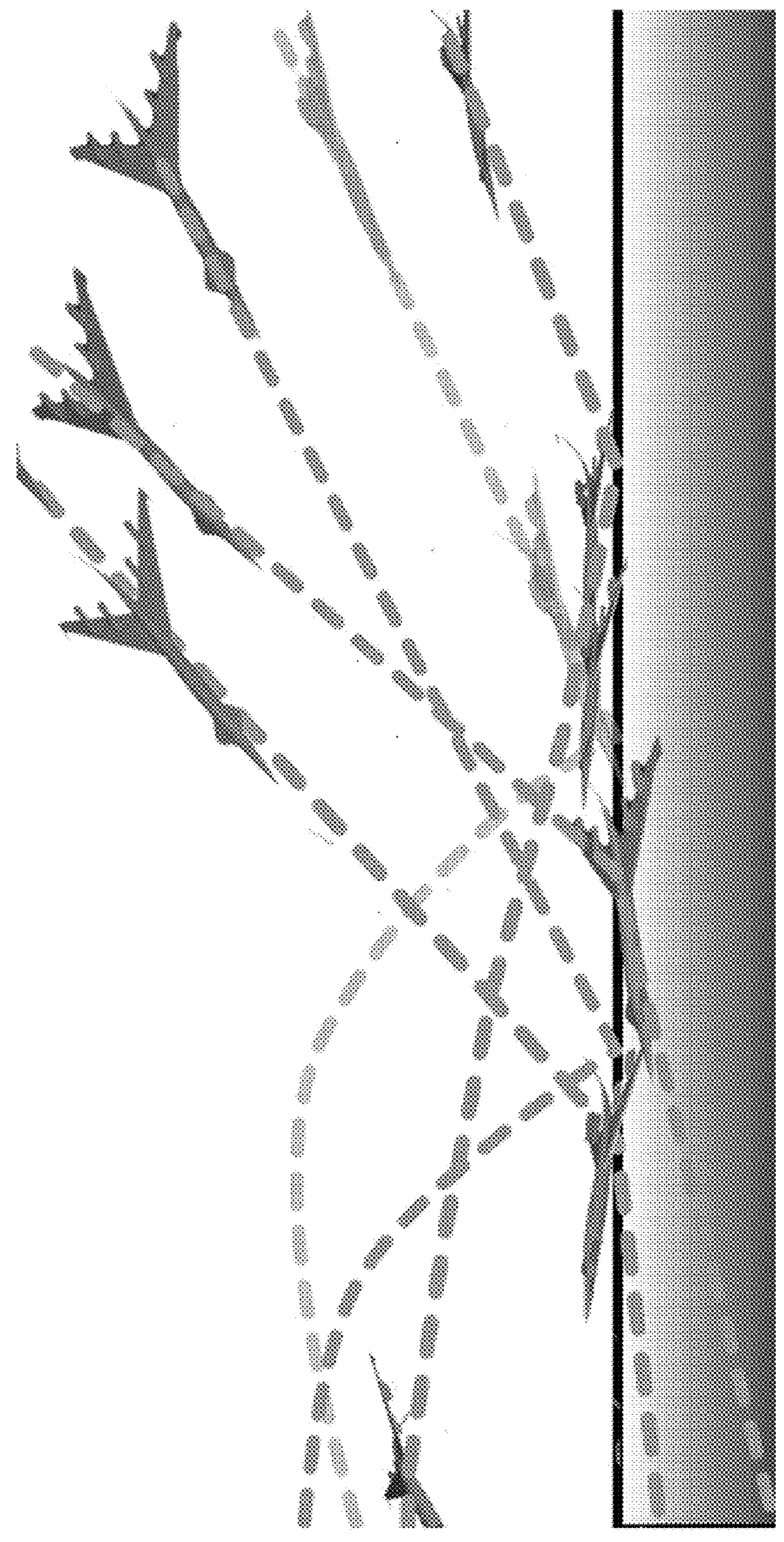 Stochastic structural analysis for context-aware design and fabrication