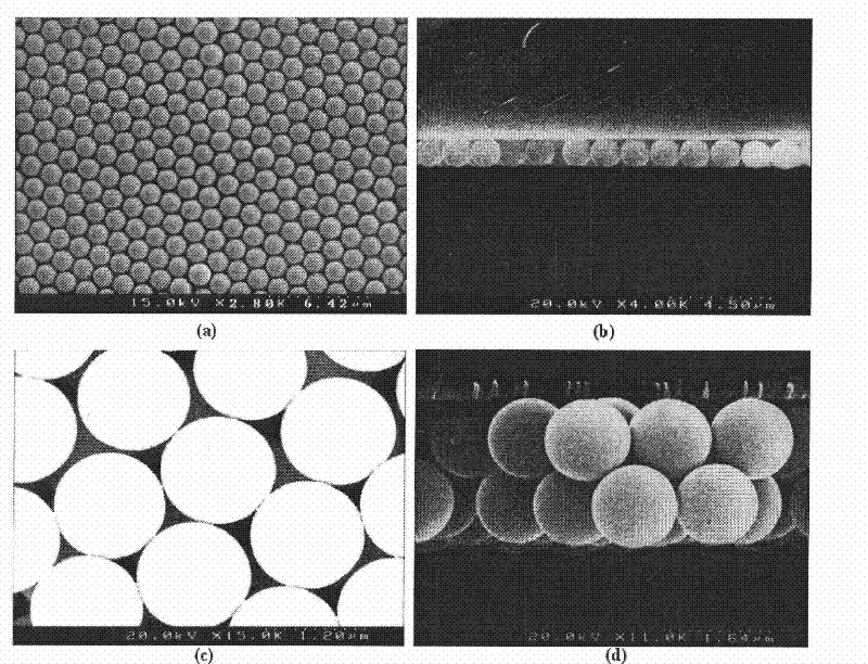 Preparation method for assembling large-area ordered microsphere template by liquid level swirl method