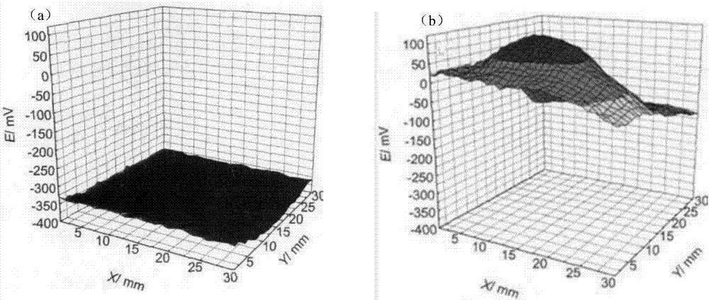 Method for evaluating rolled steel corrosive pitting probability by microcell electrochemistry