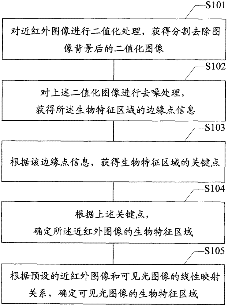 Biometric region positioning method and device for non-contact image acquisition