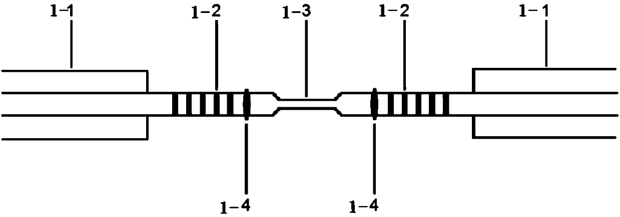 A laser detection system and method based on micro-nano erbium-doped fiber