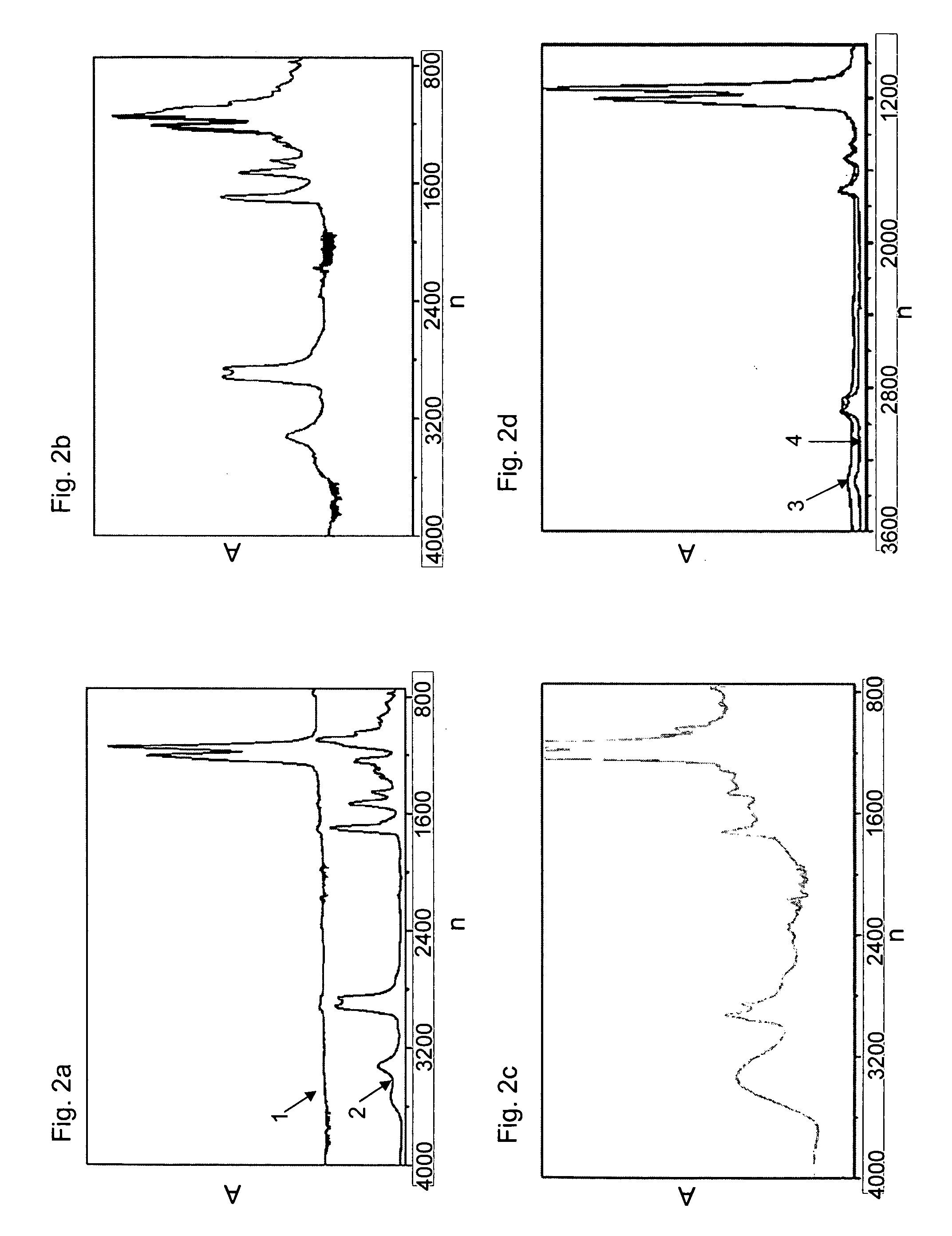 Electrochemical gas sensor with a hydrophilic membrane coating