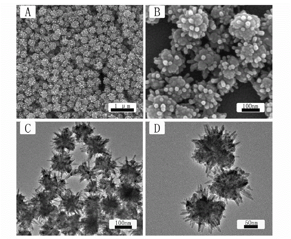 Preparation method of sea urchin-shaped cadmium sulfide nanospheres