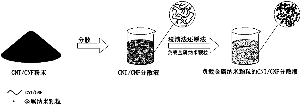 Carbon nano paper and its preparation method and application