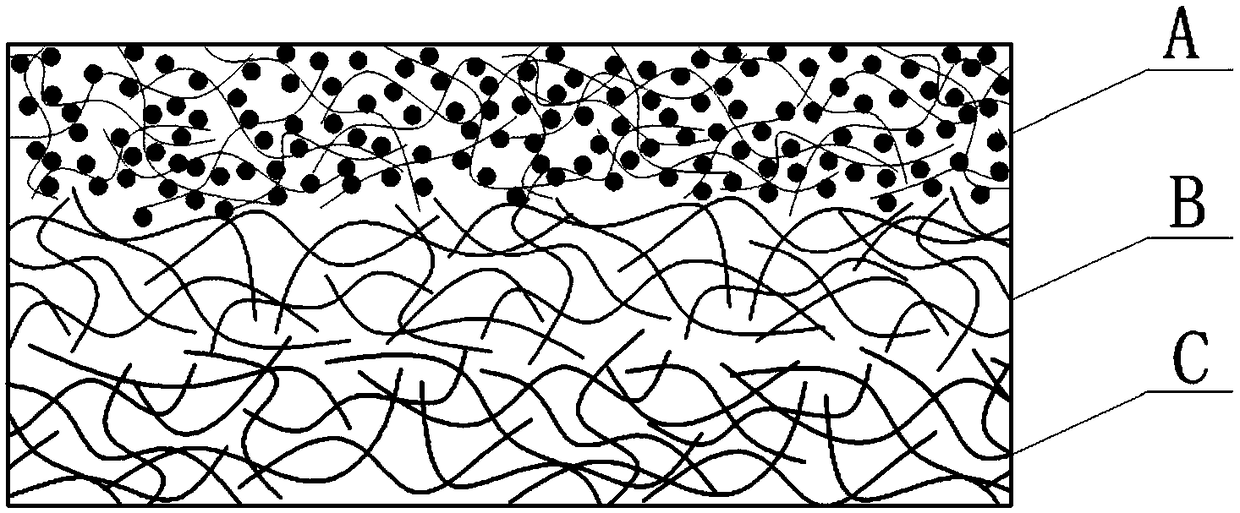 Carbon nano paper and its preparation method and application