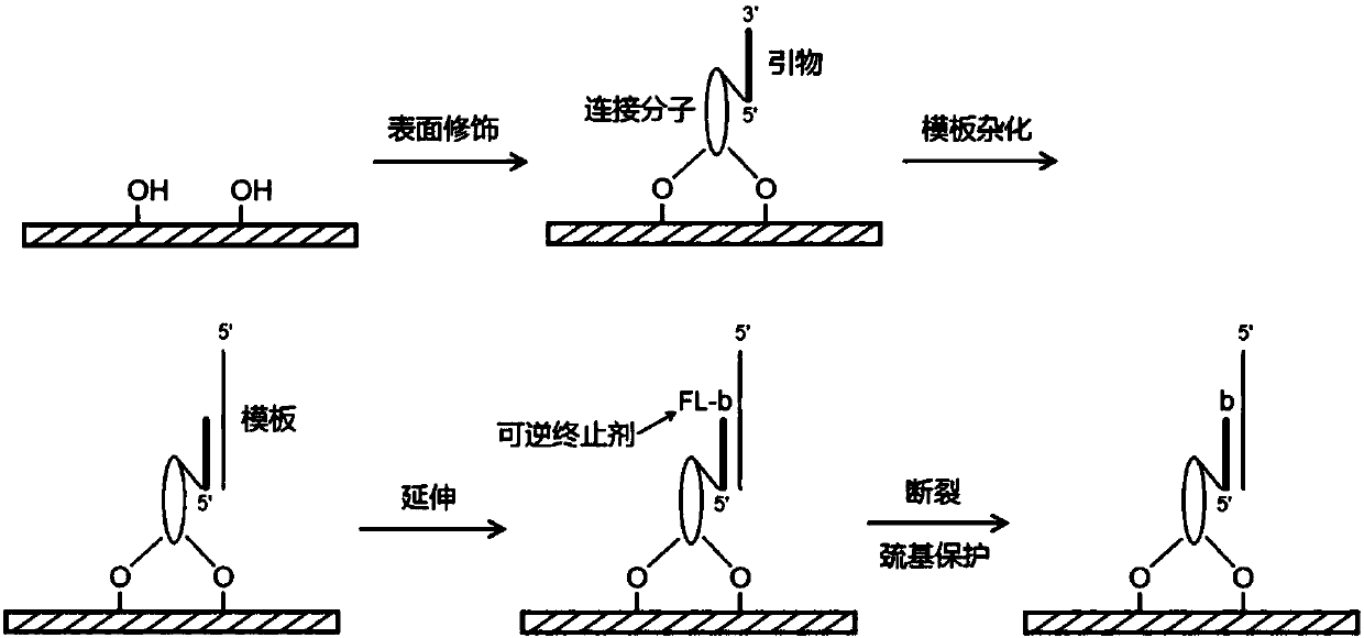 DNA single molecule sequencing method and sequencing system