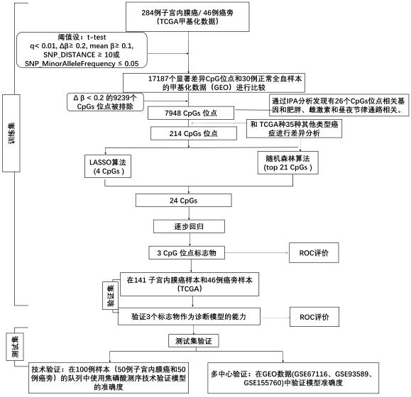 TMEM101 Gene Methylation Detection Kit for Early Screening of Endometrial Cancer in Human Peripheral Blood Circulating Tumor DNA