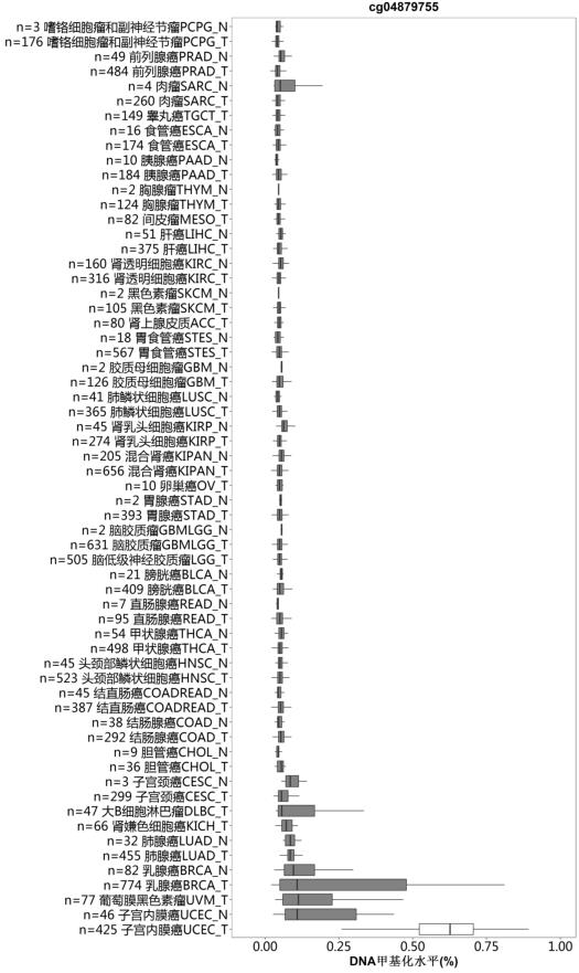 TMEM101 Gene Methylation Detection Kit for Early Screening of Endometrial Cancer in Human Peripheral Blood Circulating Tumor DNA