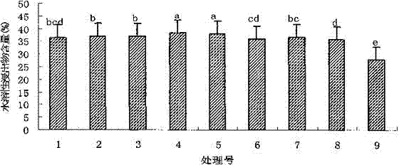 Safflower tea and preparation method thereof