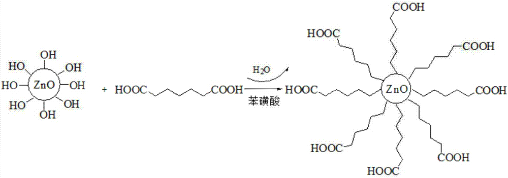 Preparation method of anti-fog and anti-ultraviolet polyester film