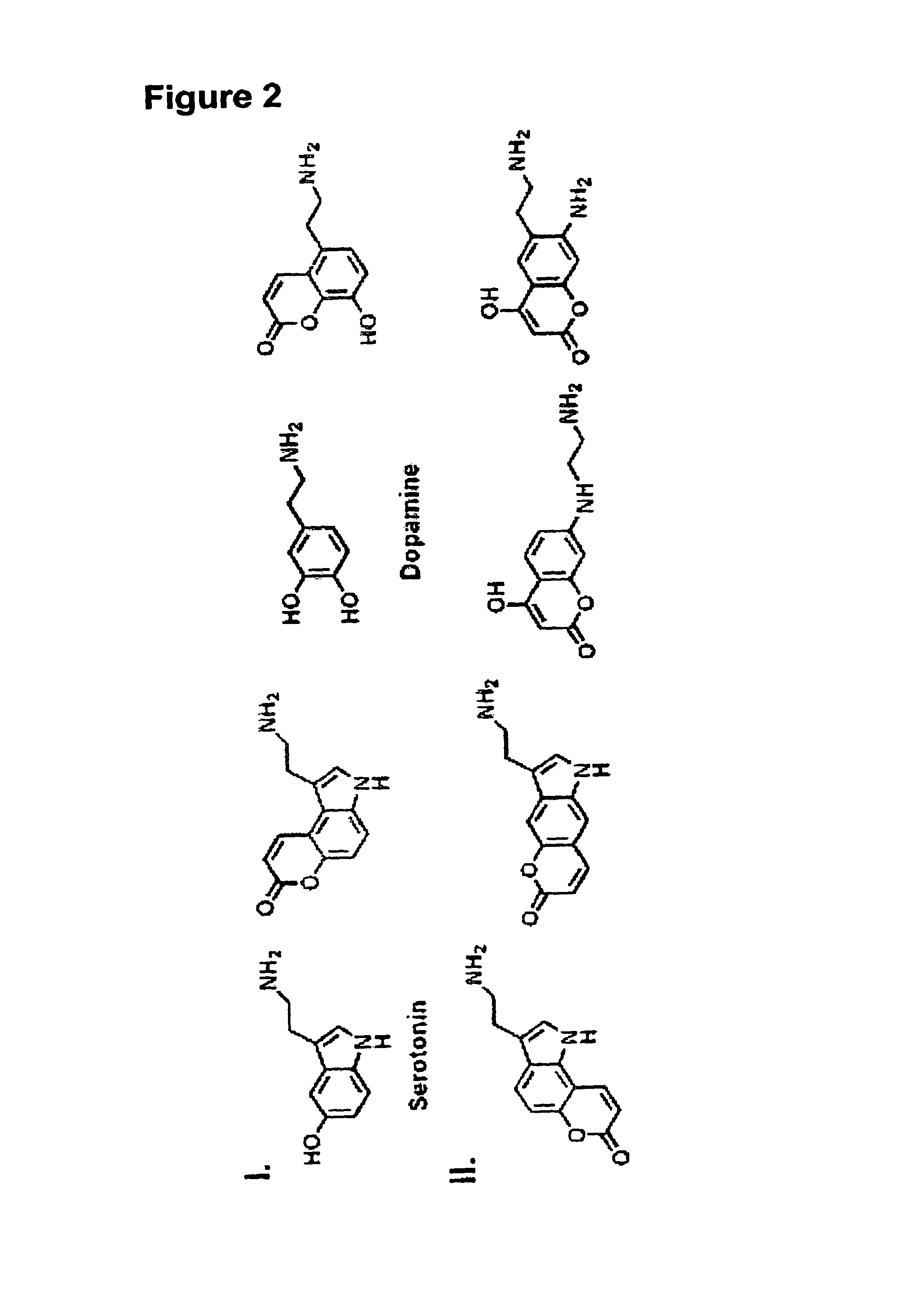 Fluorescent substrates for monoamine transporters as optical false neurotransmitters